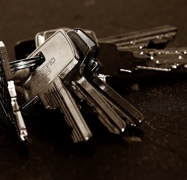 Myinteriorpalace Contact Addresses Simplified for&hellip;
