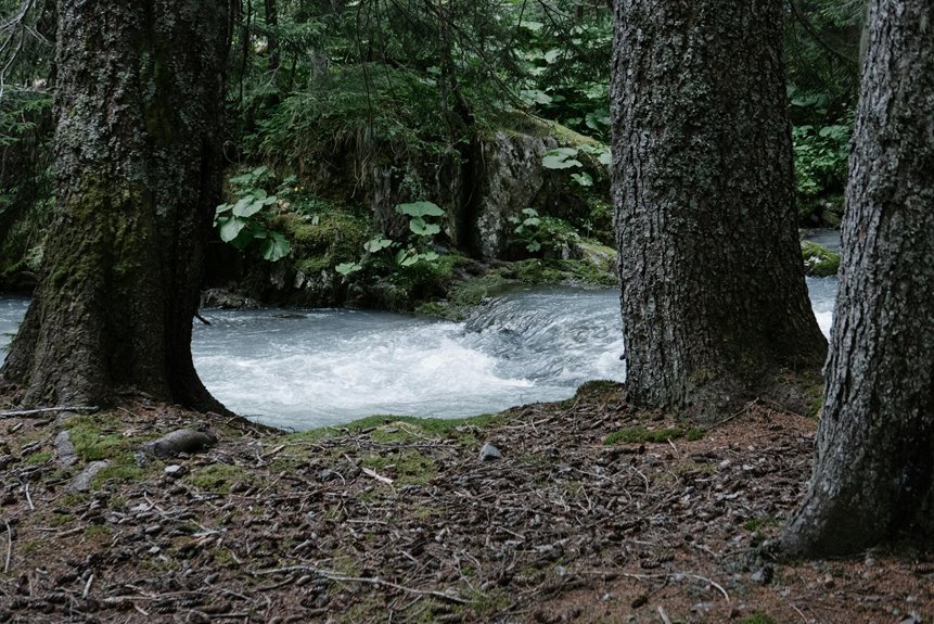 floating rift realms adventure