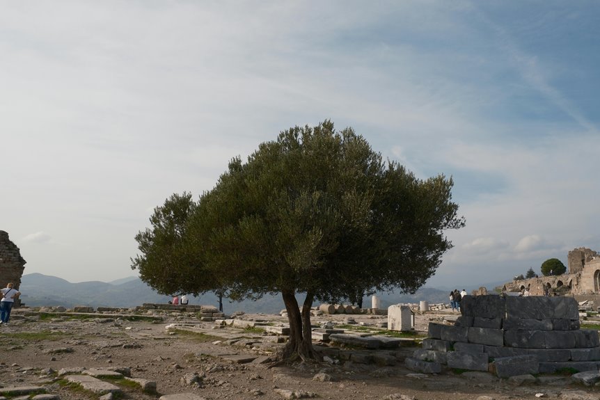 prismhalo cloud ruins coordinates