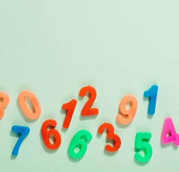 web development project codes